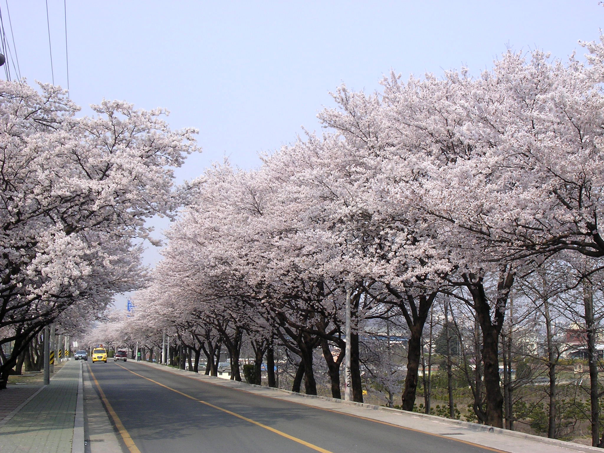 늦게 오시면..... 첨부사진